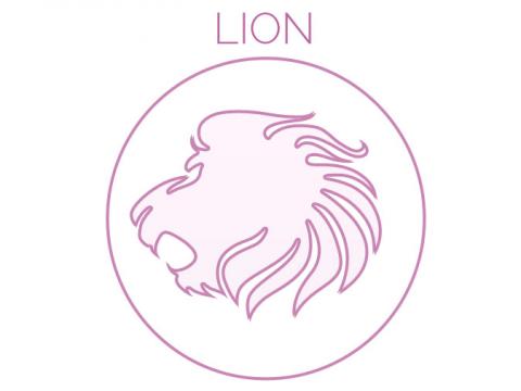 VIDEO : LION : Vous vous lcherez en faisant du shopping