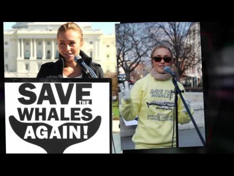 VIDEO : Animal Rights Activist Hayden Panettiere is our Woman Crush Wednesday