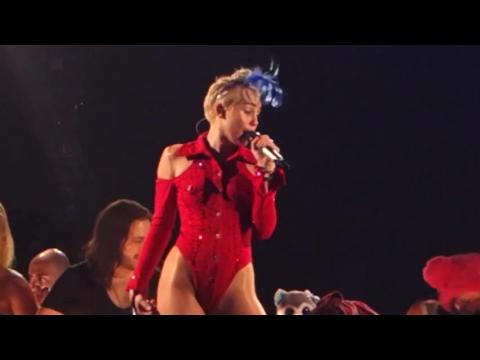 VIDEO : Conozcan la nueva mascota de Miley Cyrus, Bubba Sue