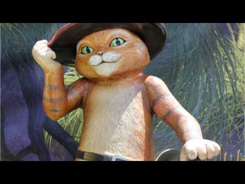 VIDEO : New Puss in Boots Movie in the Works