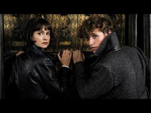 VIDEO : 'Fantastic Beasts 3': Warner Bros. Boss Has Plans For Better Sequel