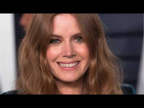 VIDEO : Amy Adams to Develop ?Poisonwood Bible? Adaptation for HBO