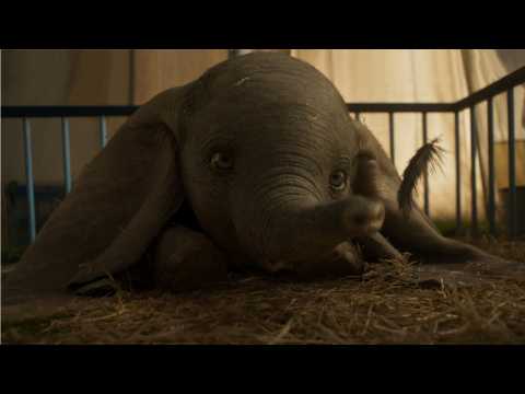 VIDEO : Disney's 'Dumbo' Tickets Now On Sale