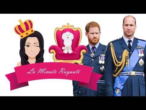 VIDEO : Le prince Harry prend (encore plus) ses distances avec le prince William