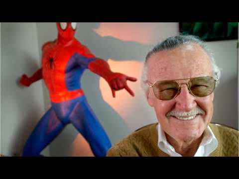 VIDEO : Fans Have Spotted A 'Deadpool' Easter Egg In 'Spider-Man: Into the Spider-Verse'