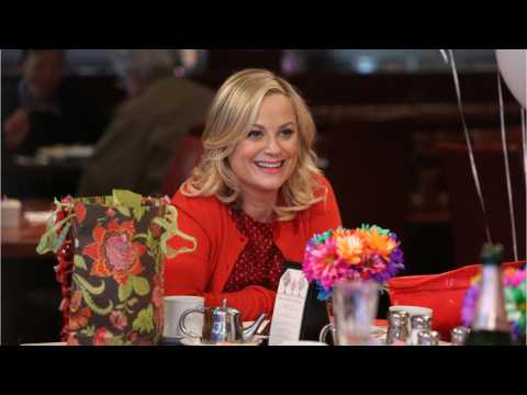 VIDEO : Could There Be A ?Parks And Recreation? Reboot?