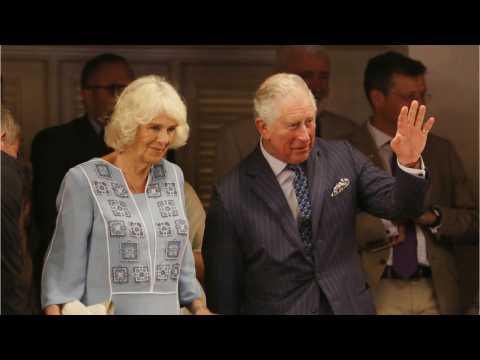 VIDEO : Queen Elizabeth Did Not Ask Prince Charles To Divorce Camilla