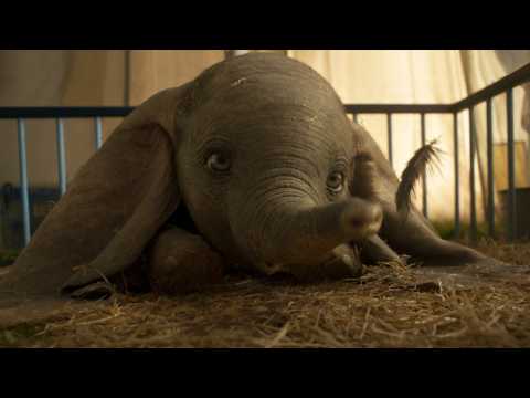 VIDEO : ?Dumbo? Pull In $47 Million During Opening
