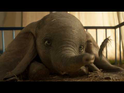 VIDEO : Disney's 'Dumbo' Cost More Than Some Marvel Flicks