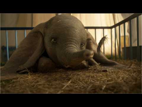 VIDEO : Do Critics Like 'Dumbo'?