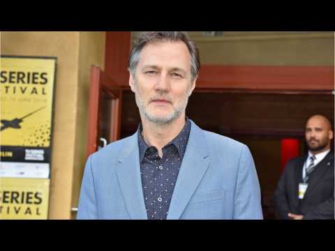 VIDEO : Rumor Claims Walking Dead Star Up For MCU