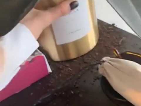 VIDEO : Enceinte, Nabilla hurle et fond en larmes sur Snapchat pour une raison trs tonnante