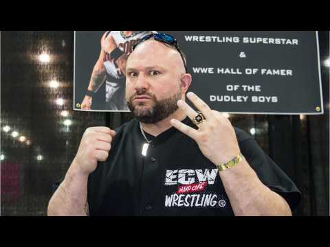 VIDEO : Bully Ray Calls Out Ring Of Honor Fan On Twitter