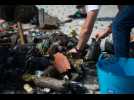 5 grammes de plastique ingérés par semaine : le gouvernement saisit l'Anses