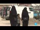 Syrie: des centaines de femmes et enfants du camp d'Al-Hol rentrent chez eux