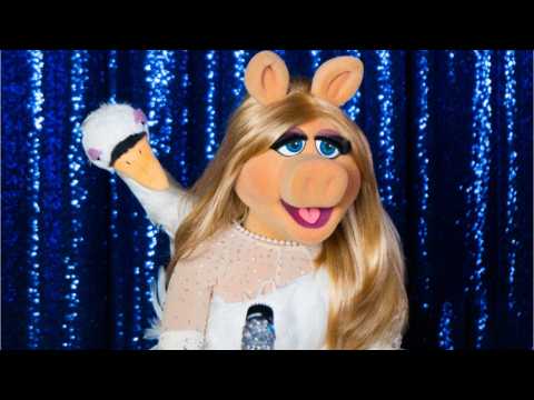 VIDEO : Muppet Movie Celebrates 40th Anniversary
