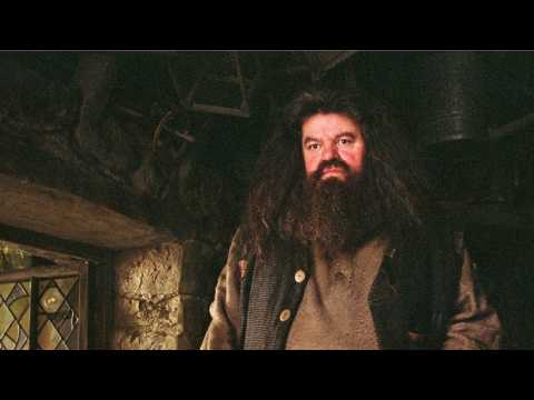 VIDEO : Fans Allegedly Waited More Than 10 Hours For New 'Harry Potter' Rollercoaster