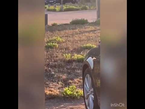 VIDEO : Vivian partage une vido incroyable