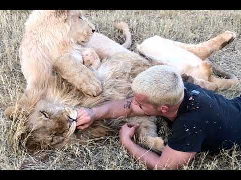 VIDEO : Dean Schneider, rencontre avec l'homme qui danse avec les lions
