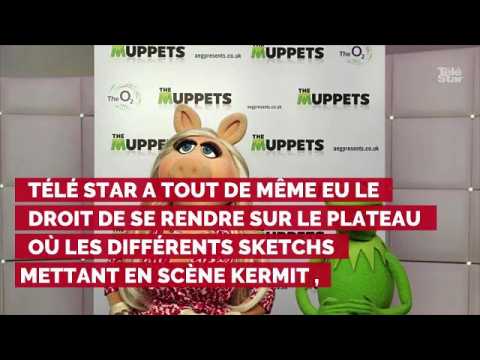 VIDEO : Instant Vintage : quand Tl Star rencontrait le crateur du Muppet show Jim Henson sur son