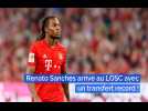 Mercato - LOSC : Renato Sanches arrive à Lille !