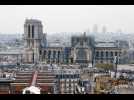 Pollution au plomb autour de Notre-Dame de Paris : « C'est évident que des personnes ont pu en ingérer »