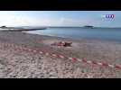 Algues vertes : drapeaux rouges sur les plages de Saint-Laurent-du-Var