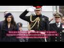 Le Prince Harry et Meghan Markle veulent prendre leur distance avec la famille royale - DH