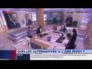 Quelles alternatives à l'âge-pivot ?