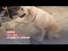 Le chien et l'enfant