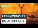 2019-2020, cet hiver où l'Australie est partie en fumée ! | Futura