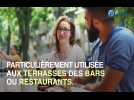Connaissez vous la technique du vol 