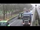 Eecke A25 : le convoi des agriculteurs en colère en route pour Lille