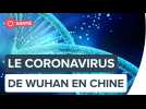 Coronavirus de Wuhan : une épidémie déjà planétaire ? | Futura
