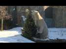 Festin de Noël pour les animaux du zoo de Brookfield