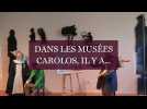Les oeuvres phares des musées carolos
