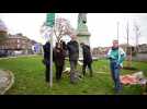 Des militants pour l'environnement plantent des arbres sur un square public à Namur