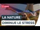 Dix minutes dans la nature pour diminuer le stress | Futura