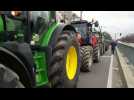 Manifestation des agriculteurs: les grands axes de Bruxelles paralysés