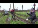 Les jardins potagers de Chambord reprennent vie