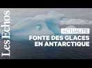 En Antarctique, un réchauffement climatique aux conséquences irréversibles ?
