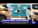 Voitures électriques: les ventes bondissent - 05/02