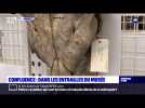 Confluence : dans les entrailles du musée