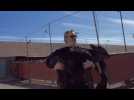 Joaquin Phoenix sauve un veau de l'abattoir : une scène surréaliste (Vidéo)