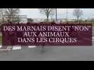 Des Marnais protestent contre les animaux dans les cirques à Châlons-en-Champagne