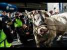 Le 57e Salon International de l'agriculture inauguré par Macron ce samedi 22 février