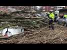 Un arbre s'abat sur deux voitures dans le centre-ville de Dunkerque