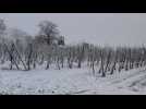 Première neige dans le Limbourg