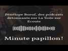 Avec Pénélope Boeuf, le podcast de fiction devient pétillant. Podcast Minute Papillon!