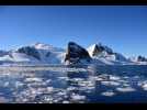 Triste record de chaleur en Antarctique